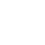 肝臓