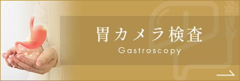 胃カメラ検査